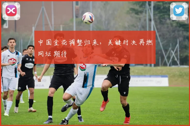 中国金花调整归来,关键对决再燃网坛期待