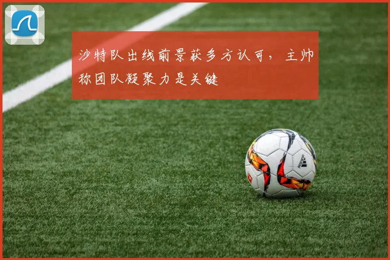 沙特队出线前景获多方认可,主帅称团队凝聚力是关键