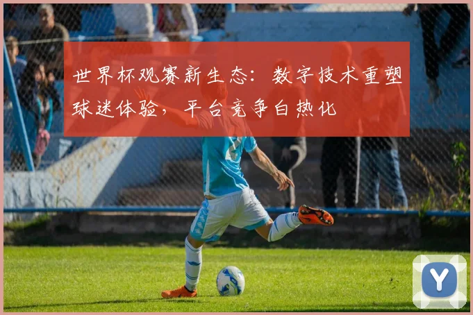 世界杯观赛新生态:数字技术重塑球迷体验,平台竞争白热化